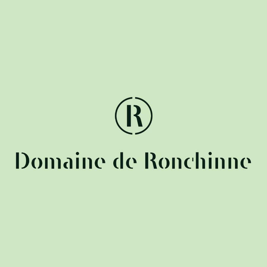 Domaine De Ronchinne - Insolites Maillen Eksteriør billede